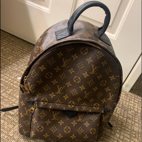 Louis Vuitton Palm Springs PM monogram - Picture 2 of 8